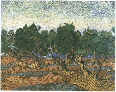 Olivenhain von Vincent van Gogh